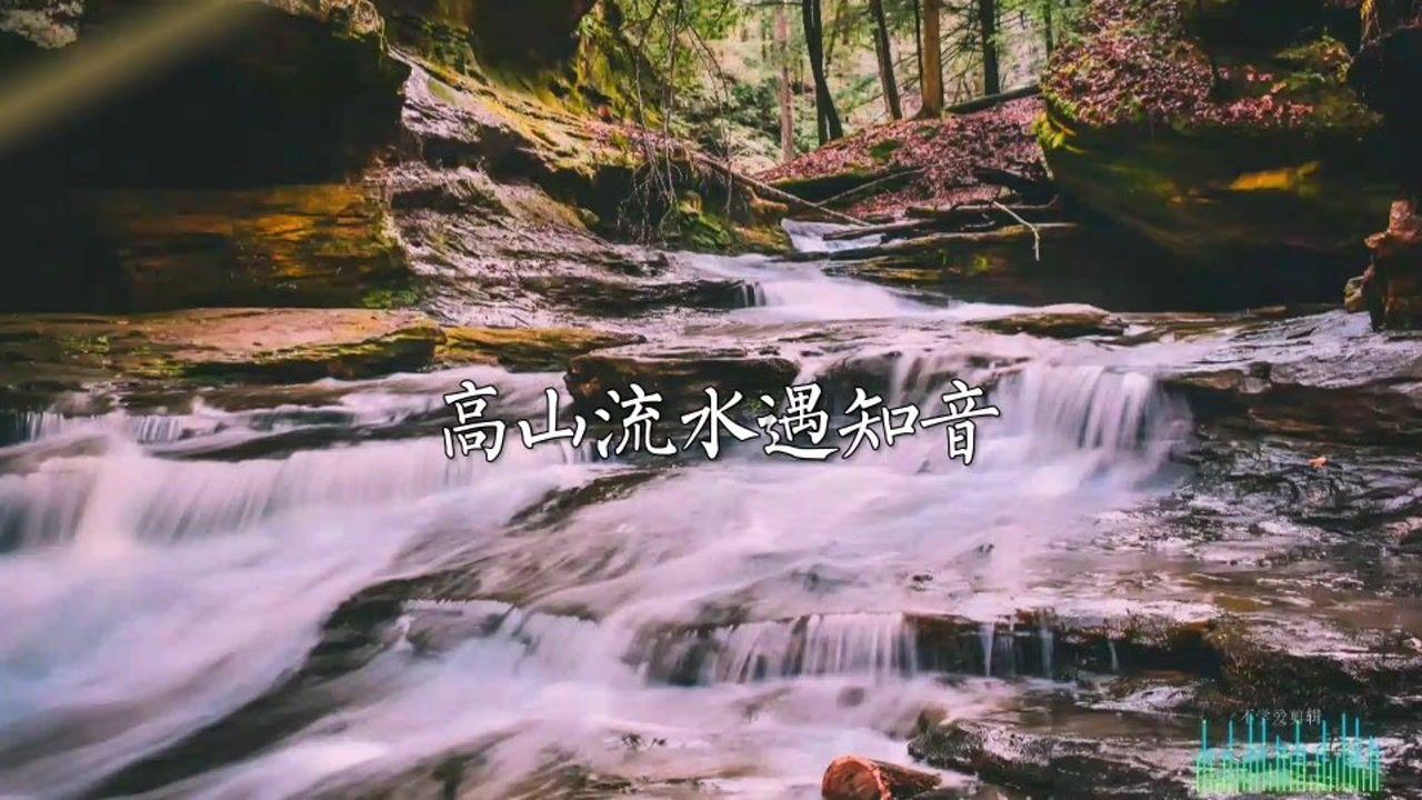 天然的“泻药”找到了,没事吃两口,排出宿便,腰也慢慢变细了!